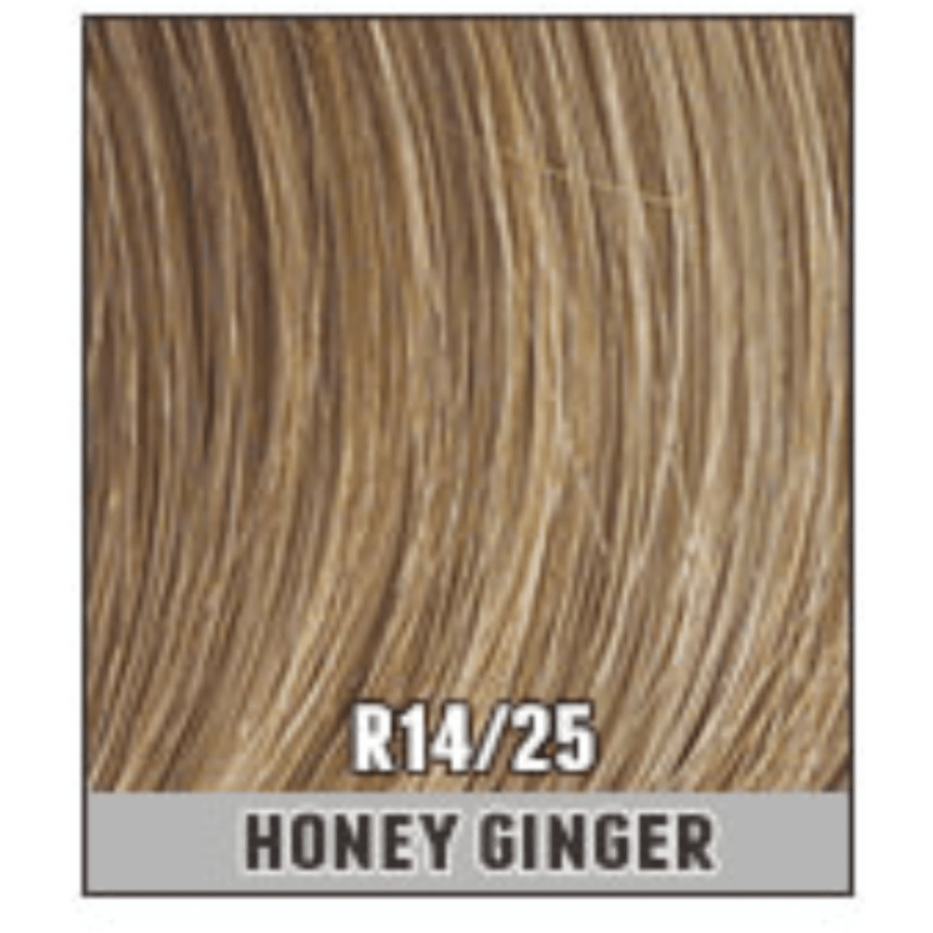 Hairdo 16" Grand Extension Hairpiece
