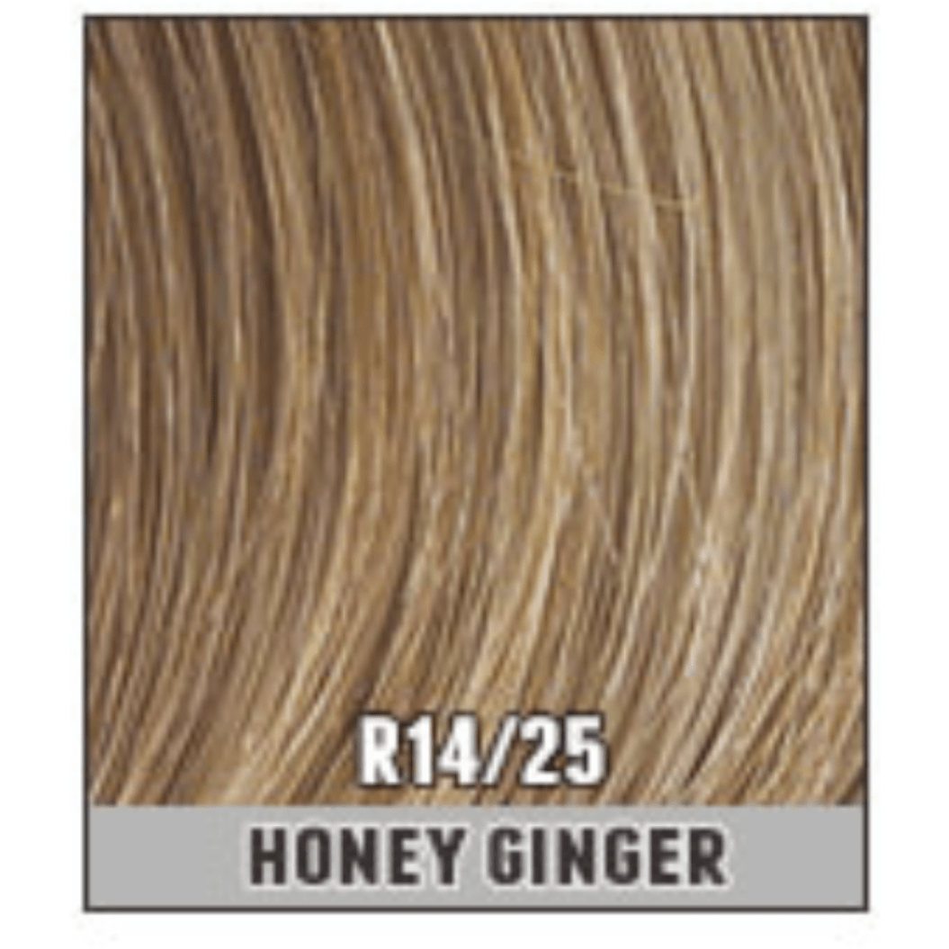 Hairdo 16" Grand Extension Hairpiece