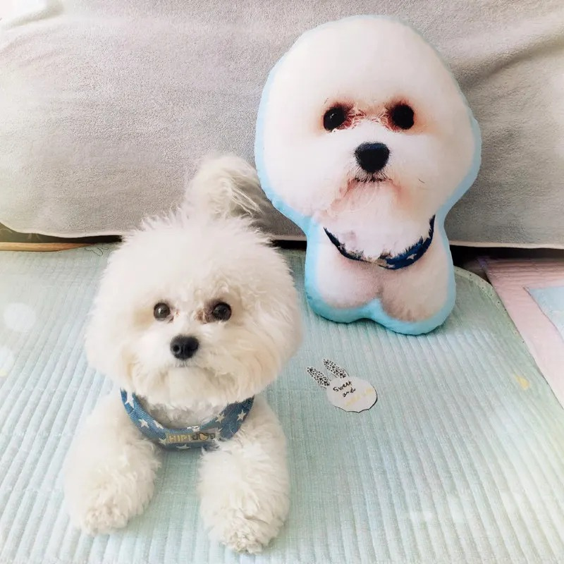 Soft Custom Pet Photo Pillow for Home Decor