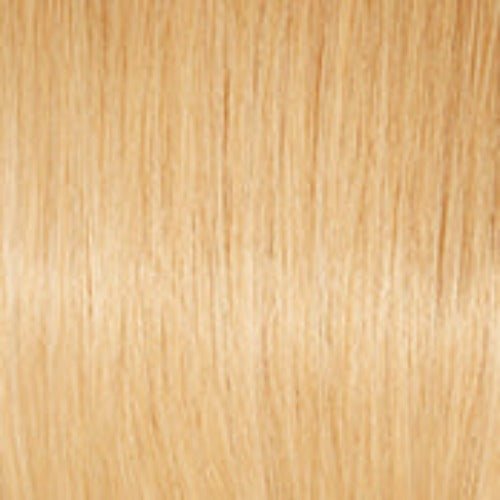 Raquel Welch Charmed Life 12" Top Piece Topper 100% Human Hair