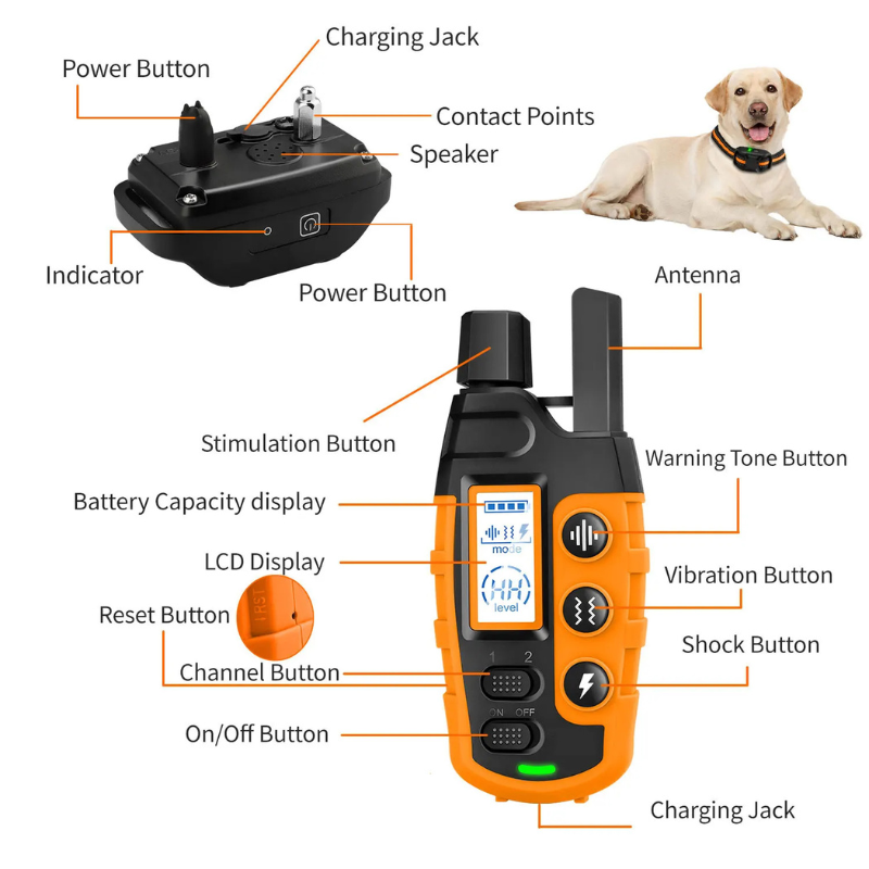 Dog Training Collar with Remote and Vibration Modes