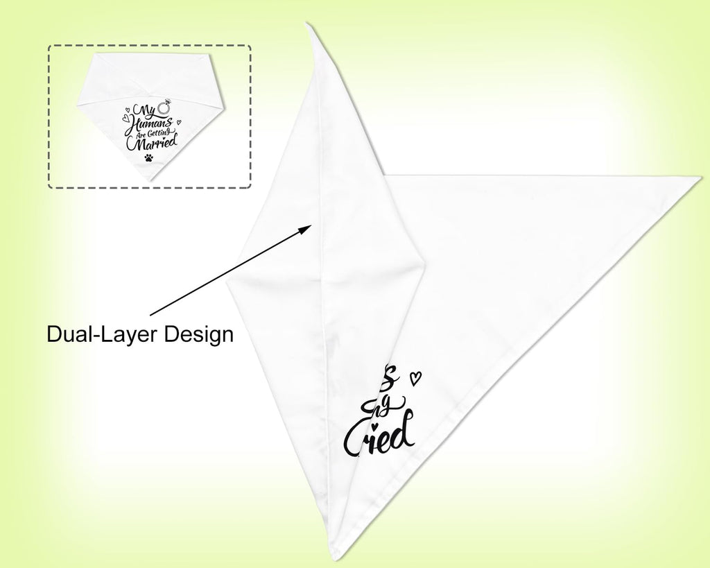 2PCS Christmas Dog Bandanas – Red and Green Plaid with Tassels