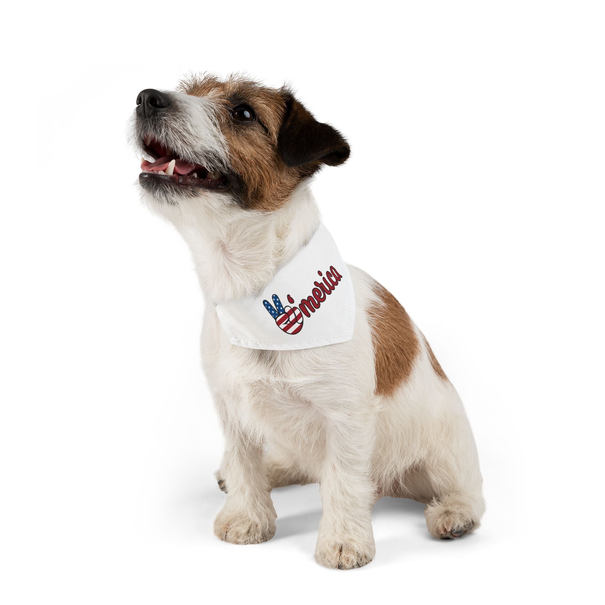 Stars and Stripes Patriotic Dog Bandana