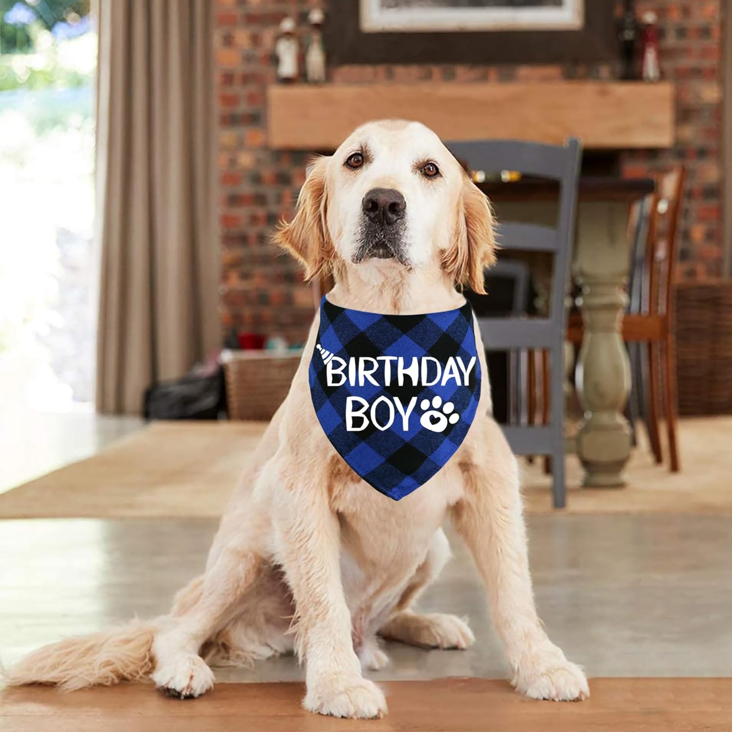 Dog Birthday Bandana – Premium Cotton Birthday Boy Bandana for Dogs