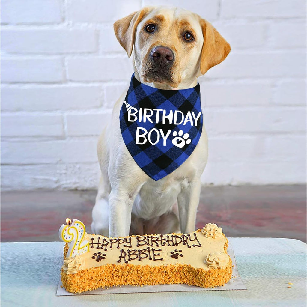 Dog Birthday Bandana – Premium Cotton Birthday Boy Bandana for Dogs