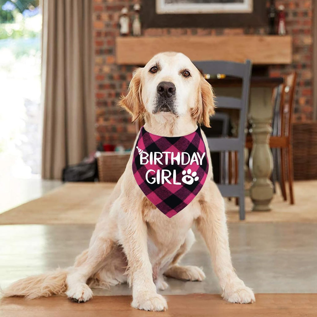 Dog Birthday Bandana – Premium Cotton Birthday Boy Bandana for Dogs