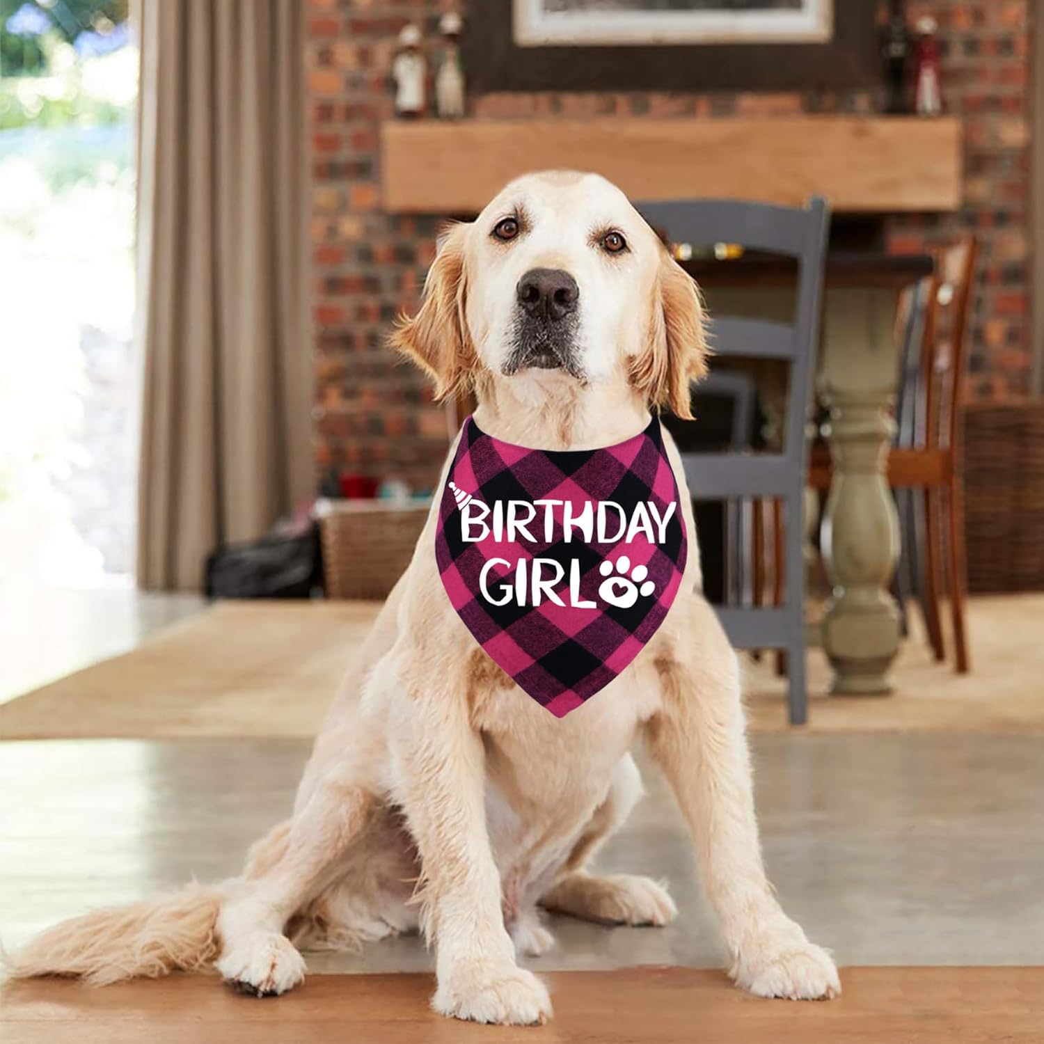 Dog Birthday Bandana – Premium Cotton Birthday Boy Bandana for Dogs