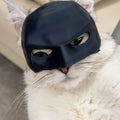 Kitten - Mask