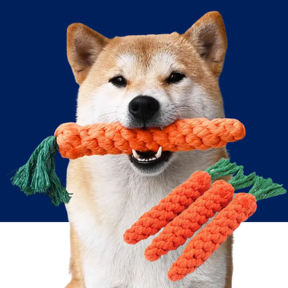 Carrot Rope Dog Chew Toy for Dental Health
