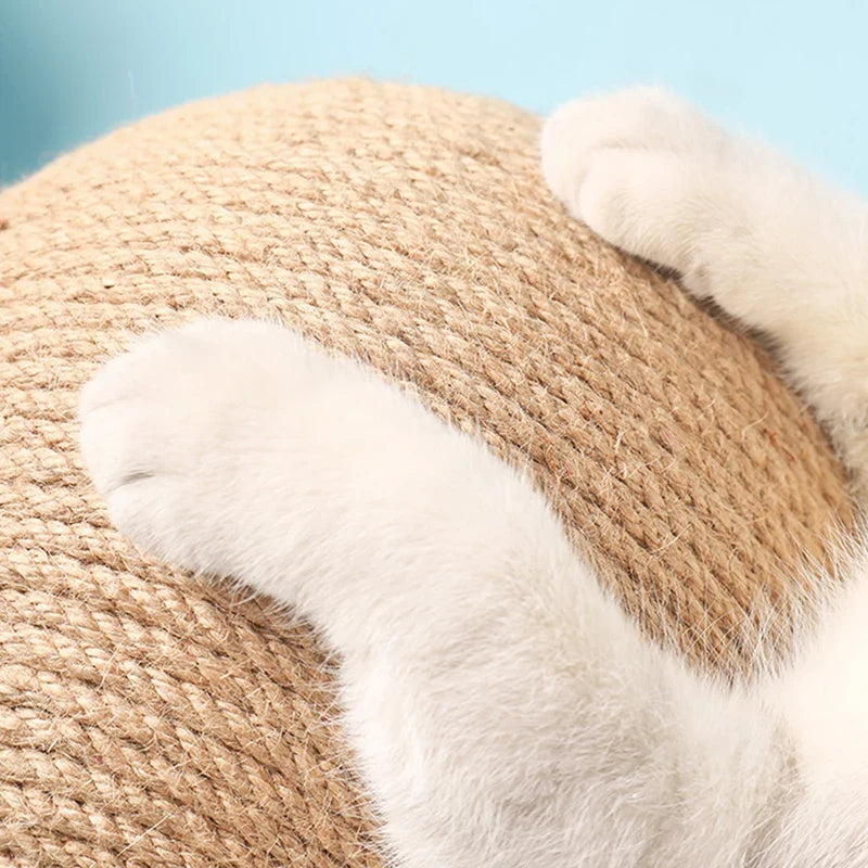 Cat Scratching Ball Toy  Board Grinding Paws Toys