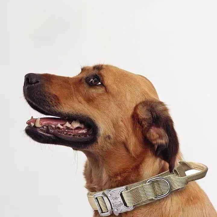 Durable Nylon Dog Collar with Reflective Leash Set