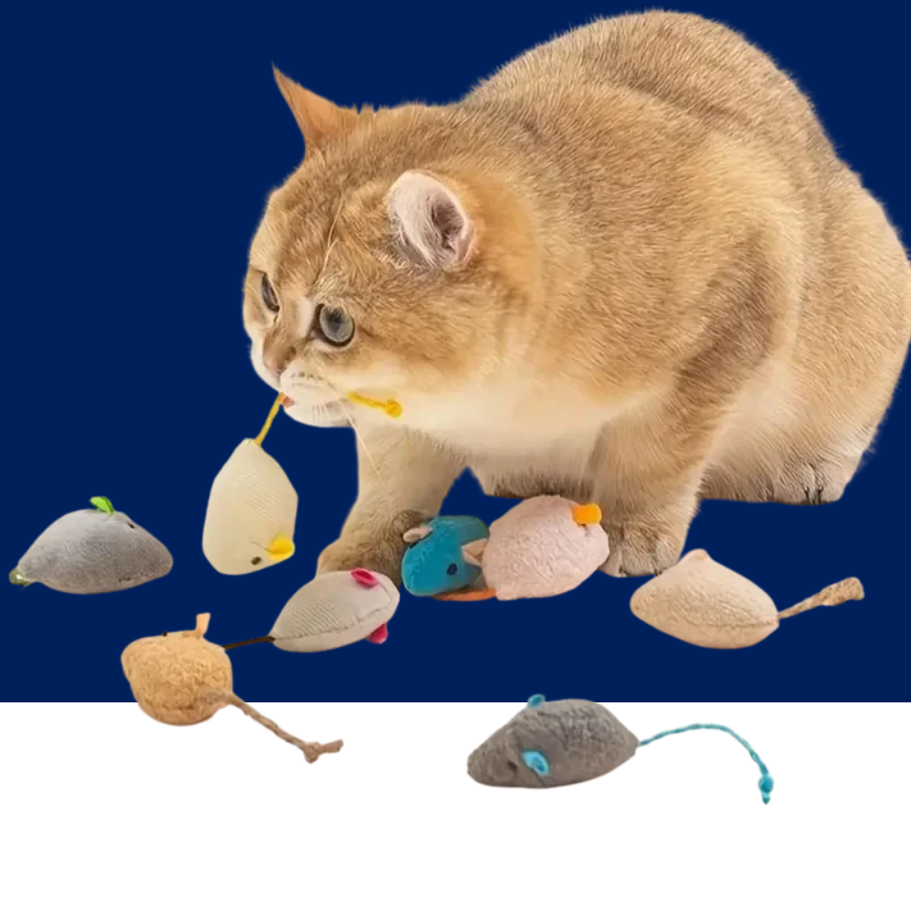 Plush Rat Cat Toy Set – 3/7PCS