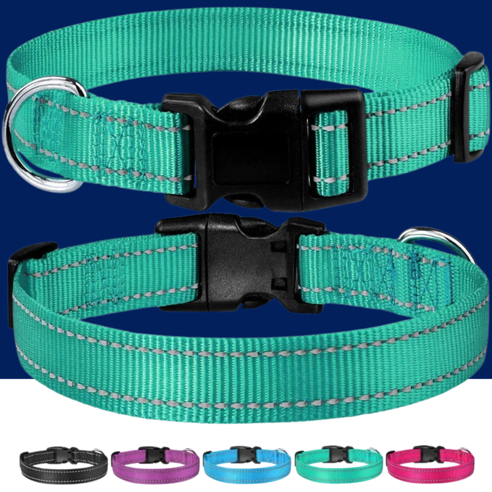 Reflective Adjustable Nylon Dog Collar Strap – Safety Traction Rope