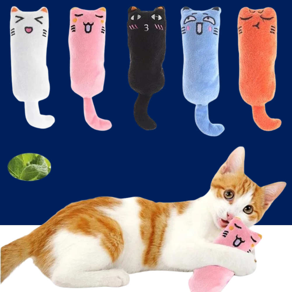 Catnip Plush Pillow with Rustle Sound