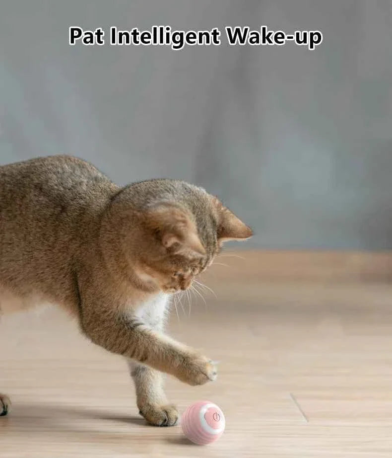 Smart Cat Toy Ball: Auto-Rolling for Active Play