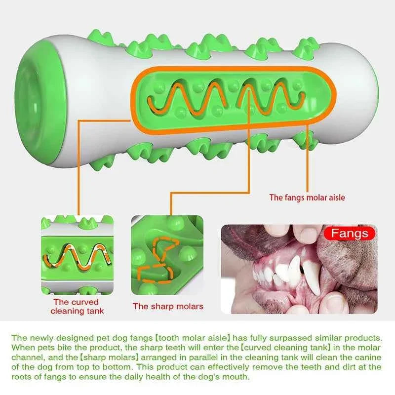 Chew-Resistant Rubber Dog Toy for Dental Health