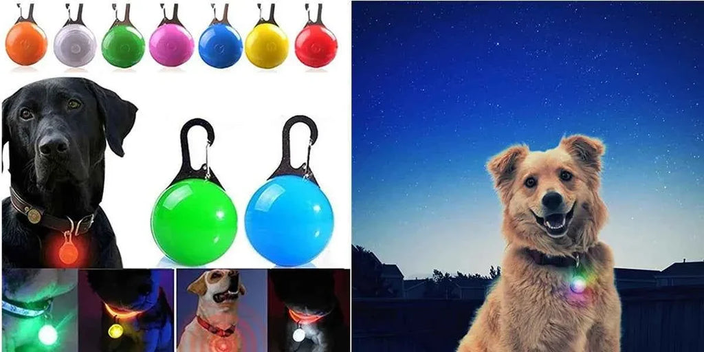 LED Pet Dog Collar for Night Safety | Bright USB Rechargeable