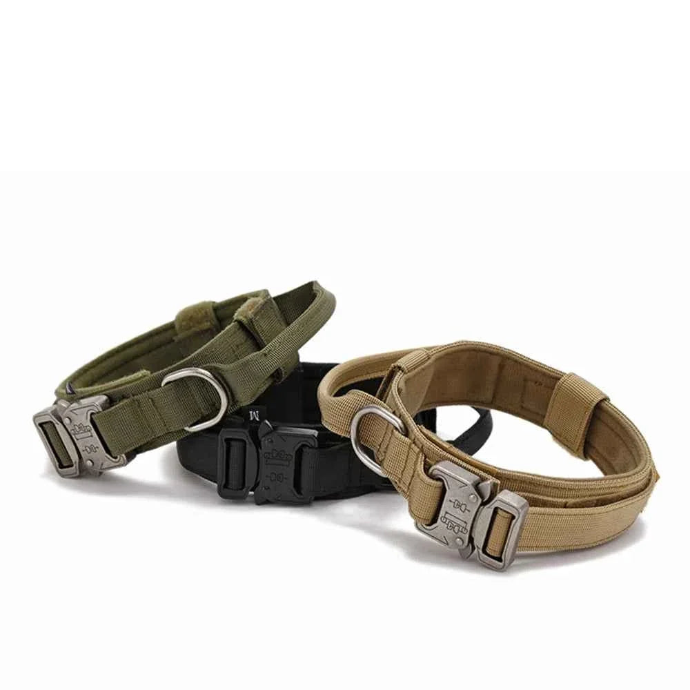 Durable Nylon Dog Collar with Reflective Leash Set