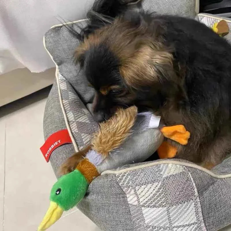 Durable Squeaky Duck Dog Toy