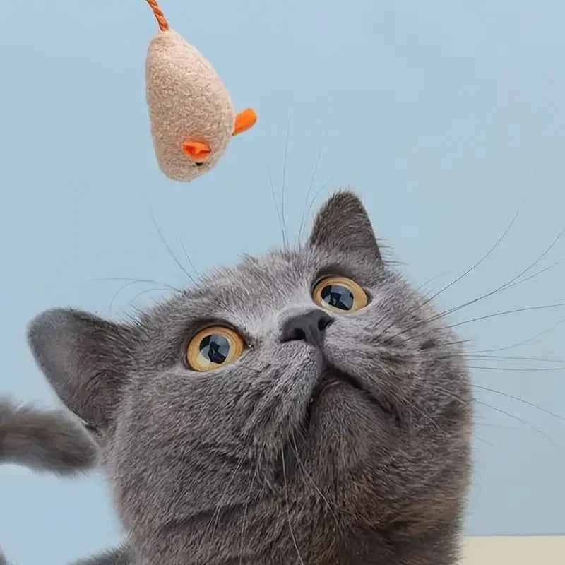 Plush Rat Cat Toy Set – 3/7PCS