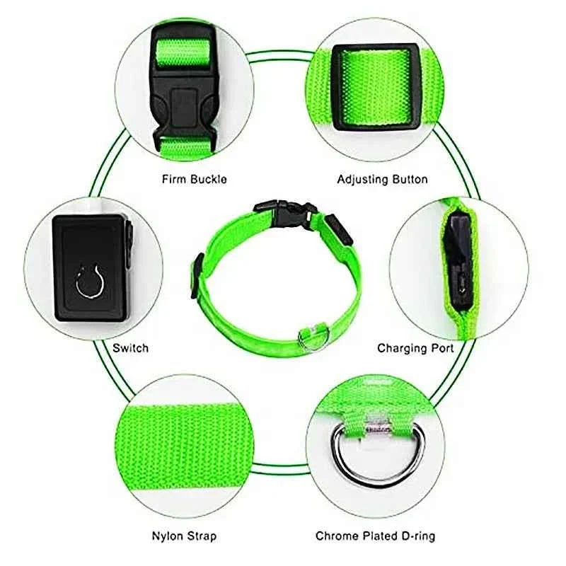 LED Pet Dog Collar for Night Safety | Bright USB Rechargeable