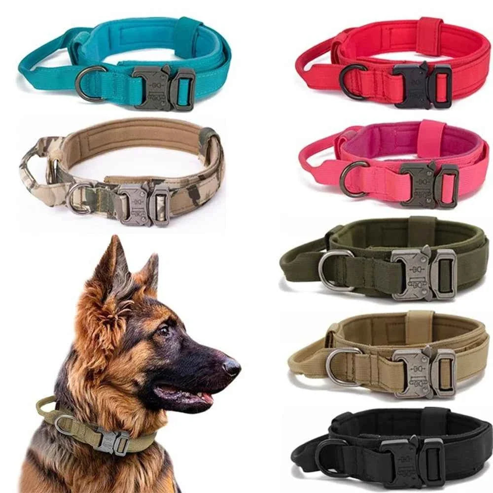 Durable Nylon Dog Collar with Reflective Leash Set