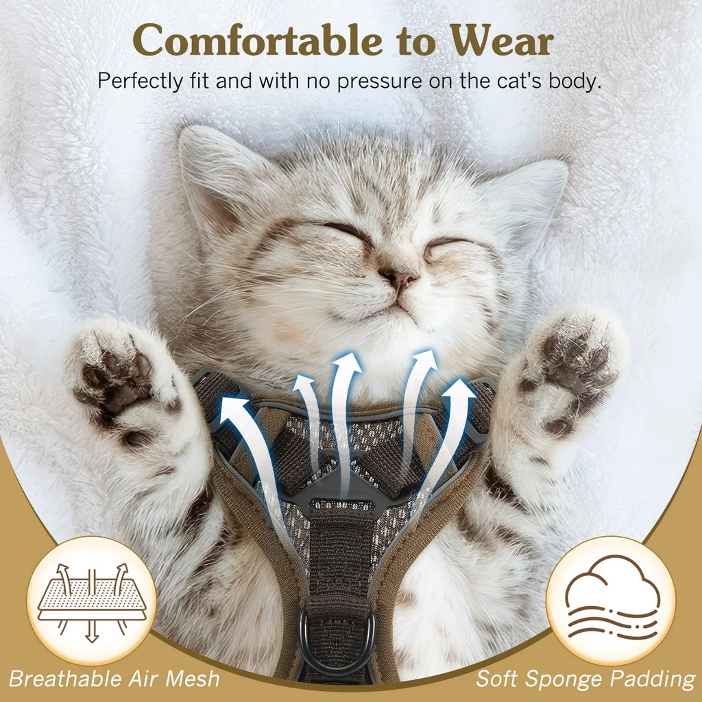 Cat Harness and Leash Set for Safe Adventures