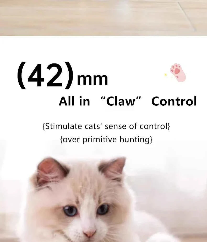 Smart Cat Toy Ball: Auto-Rolling for Active Play
