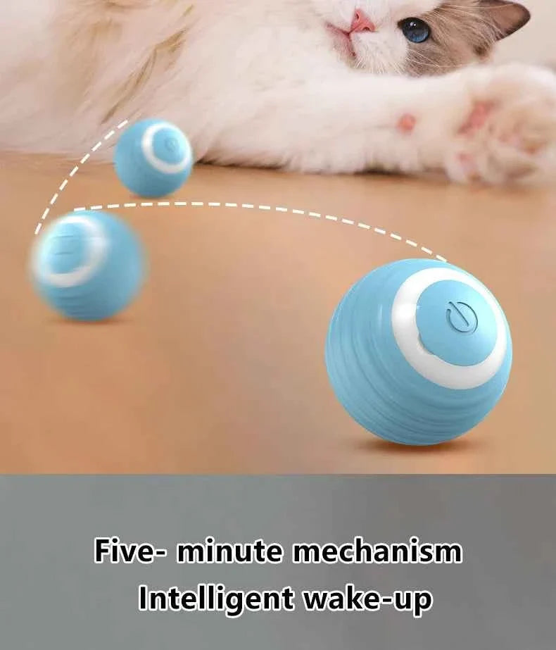 Smart Cat Toy Ball: Auto-Rolling for Active Play
