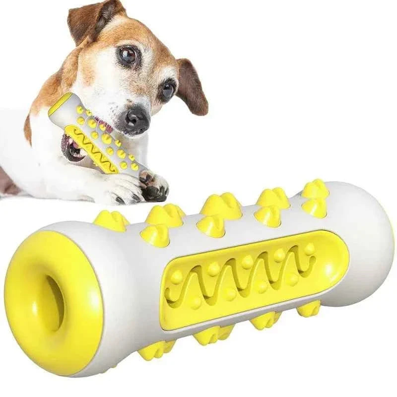 Chew-Resistant Rubber Dog Toy for Dental Health