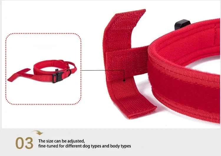 Durable Nylon Dog Collar with Reflective Leash Set