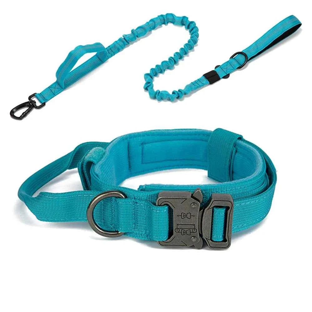 Durable Nylon Dog Collar with Reflective Leash Set