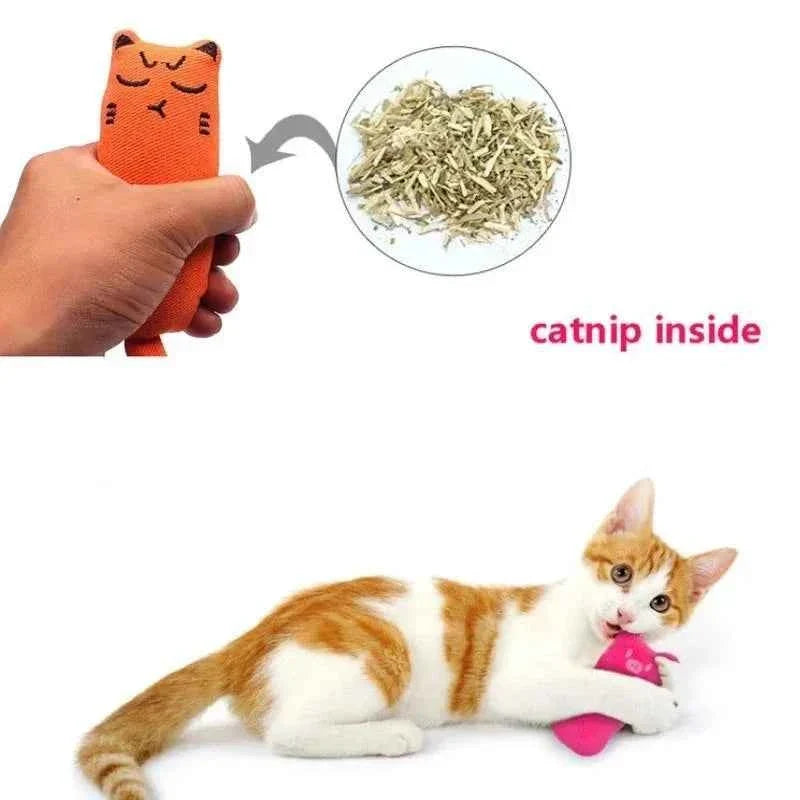 Catnip Plush Pillow with Rustle Sound