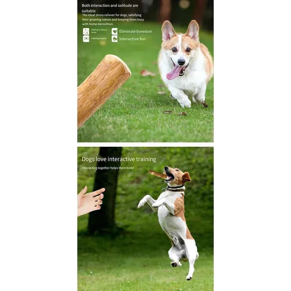 Coffee Wooden Dog Chews: A Natural Chew Toy
