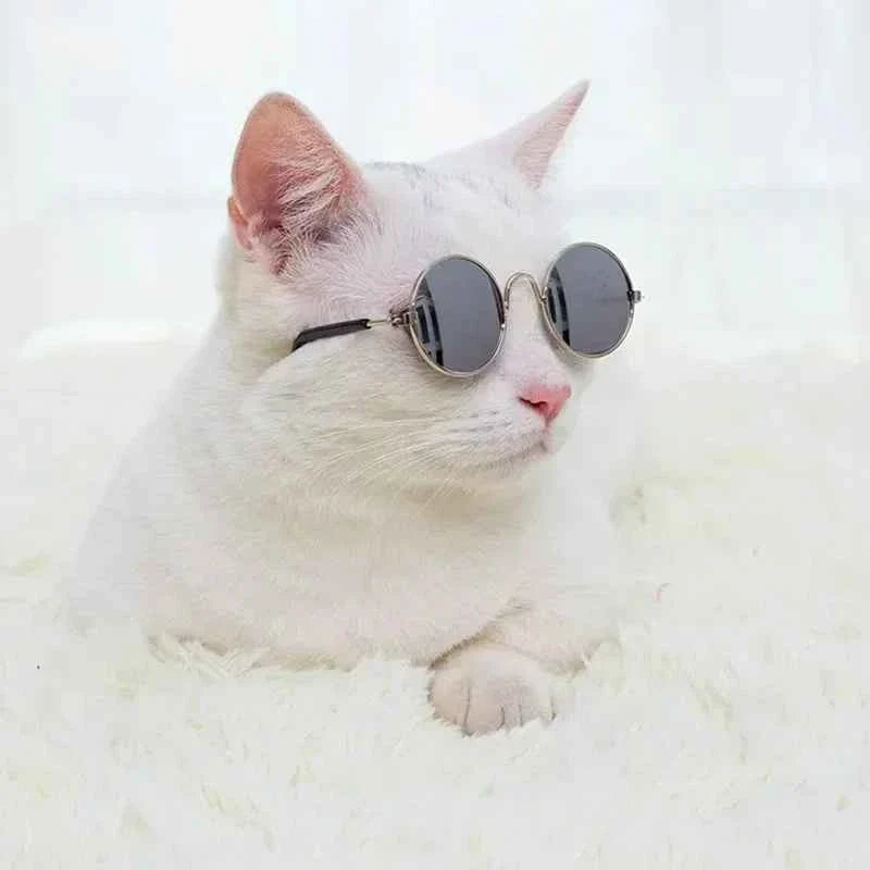 Cat & Dog Sunglasses – UV Protection Pet Photo Props