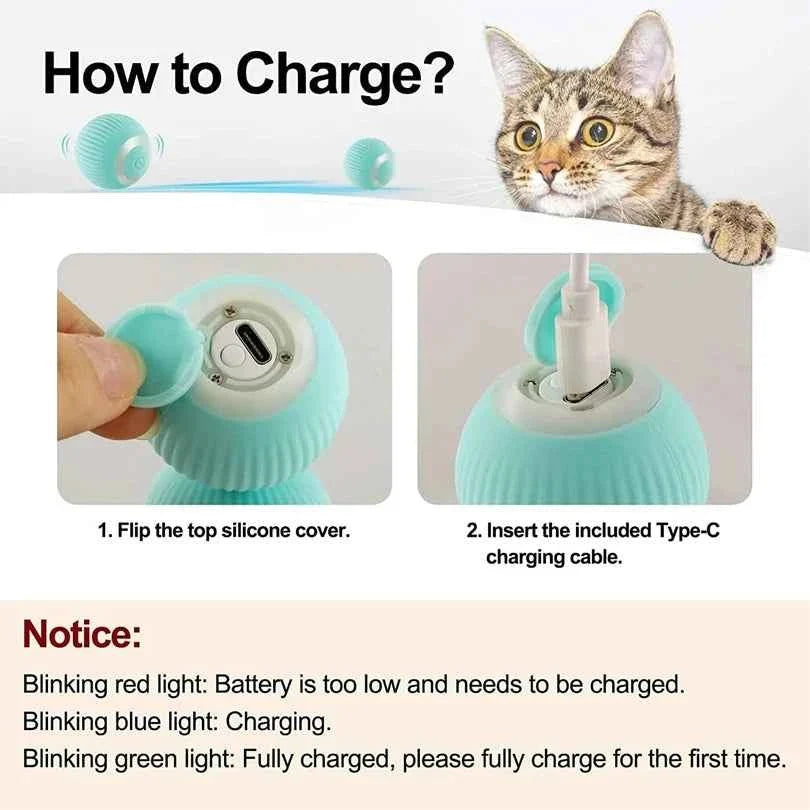 Remote Control Mouse Cat Toy for Endless Fun