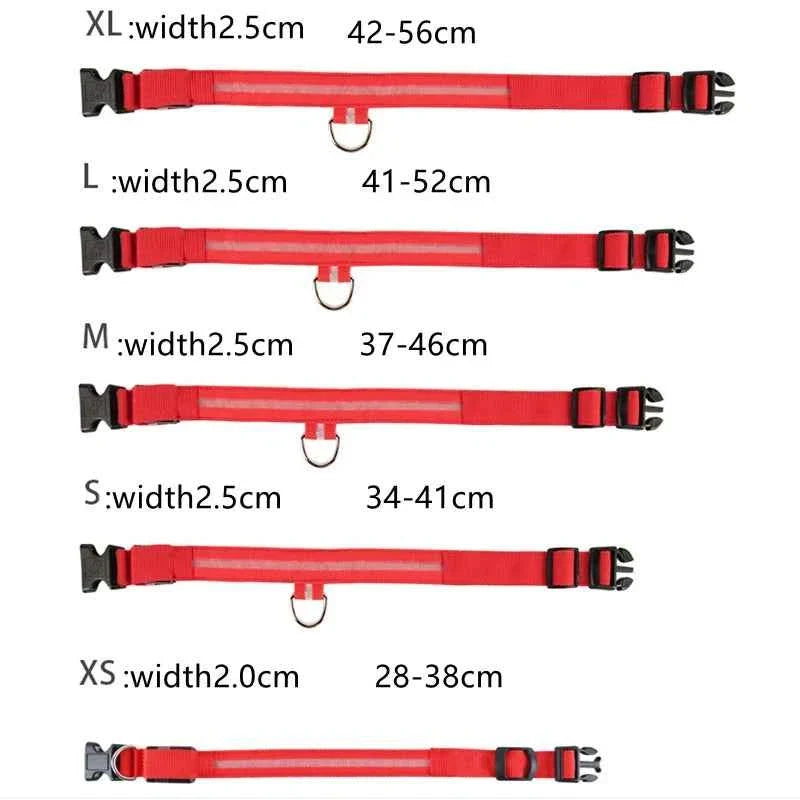 LED Pet Dog Collar for Night Safety | Bright USB Rechargeable