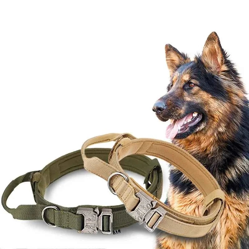 Durable Nylon Dog Collar with Reflective Leash Set