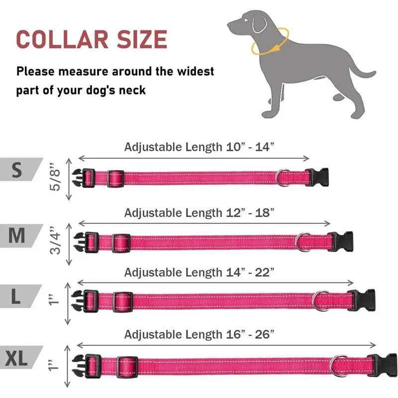 Reflective Adjustable Nylon Dog Collar Strap – Safety Traction Rope
