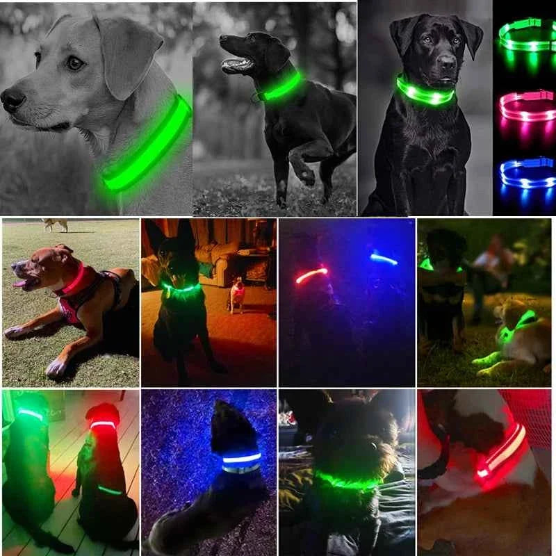 LED Pet Dog Collar for Night Safety | Bright USB Rechargeable
