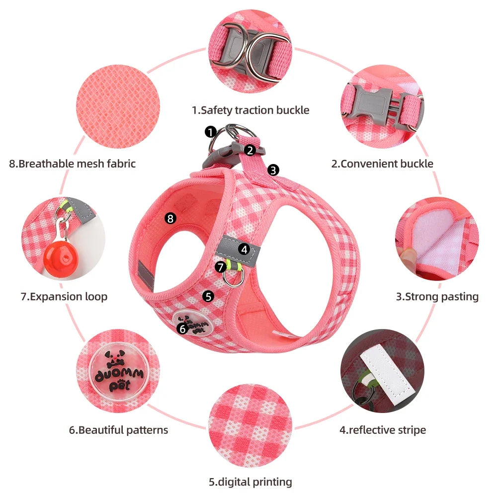 Stylish Checkered Cat Harness and Leash Set for Safe Adventures