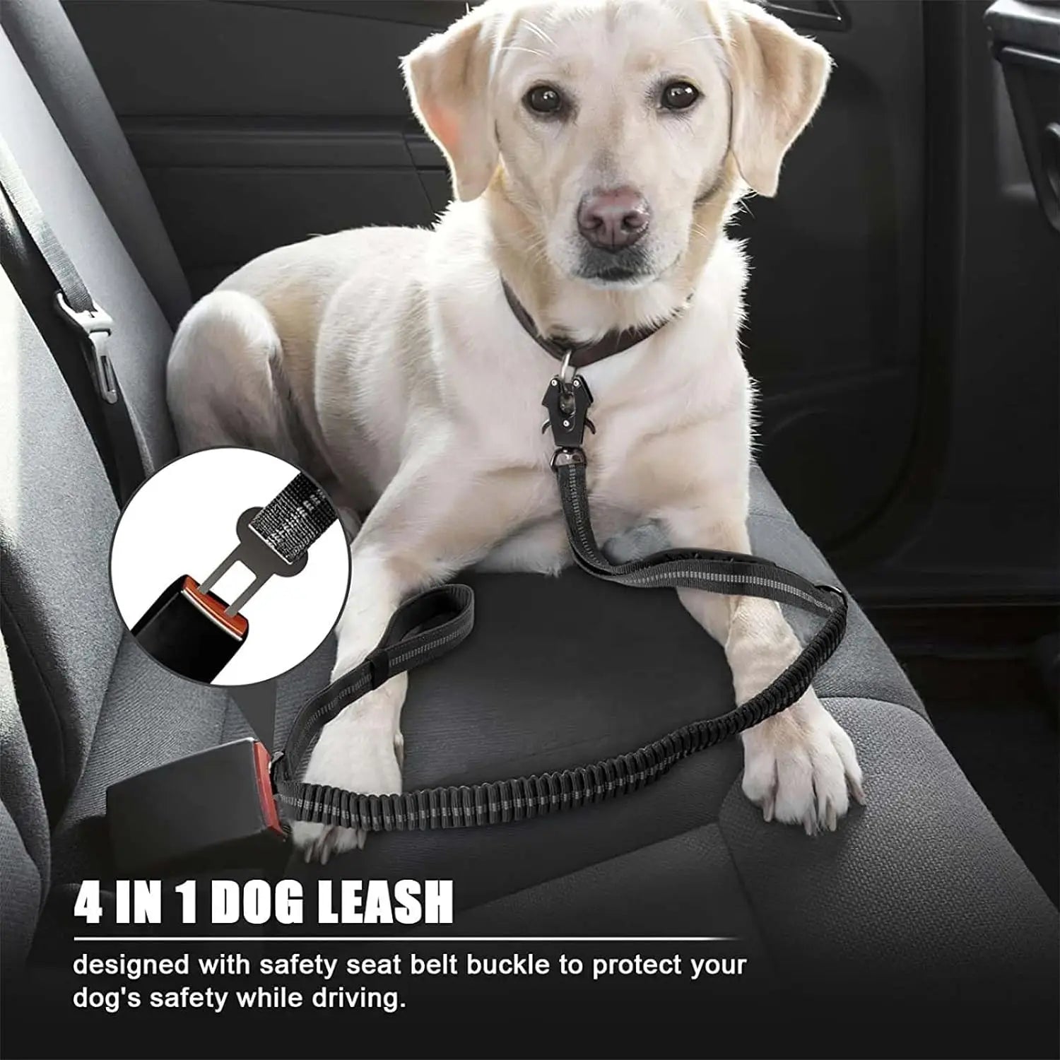 Reflective Shock Absorbing Bungee Dog Leash with Seatbelt Clip
