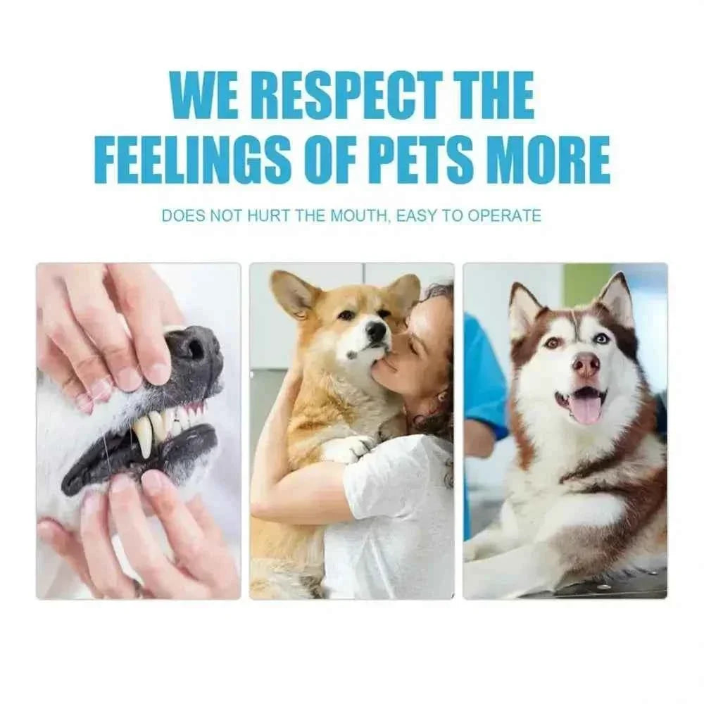 Complete Pet Toothbrush And Toothpaste Kit