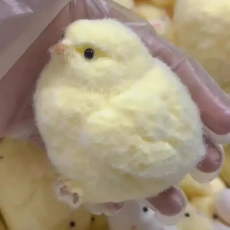 Handmade Soft Silicone Cute Chick Squeeze toys Toys Recommended to Play in Bags Without Dirty Hands Super Soft Toys for Parties