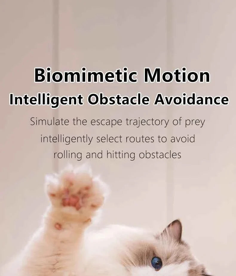 Smart Cat Toy Ball: Auto-Rolling for Active Play
