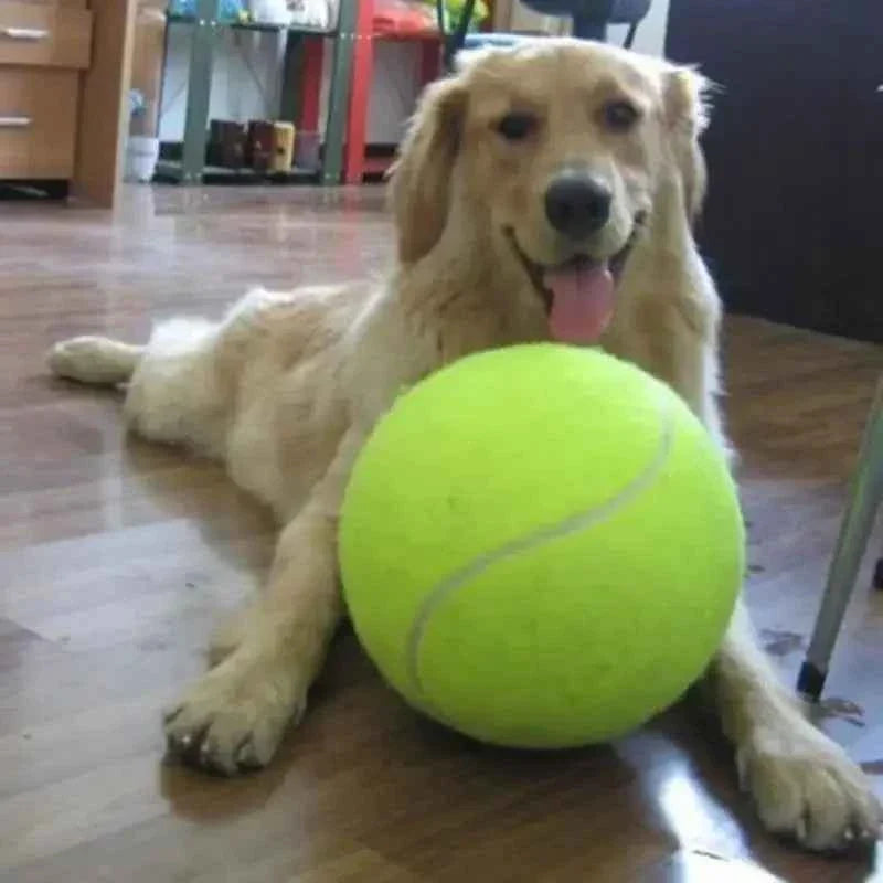 Giant Dog Tennis Ball: An Oversized Play Toy