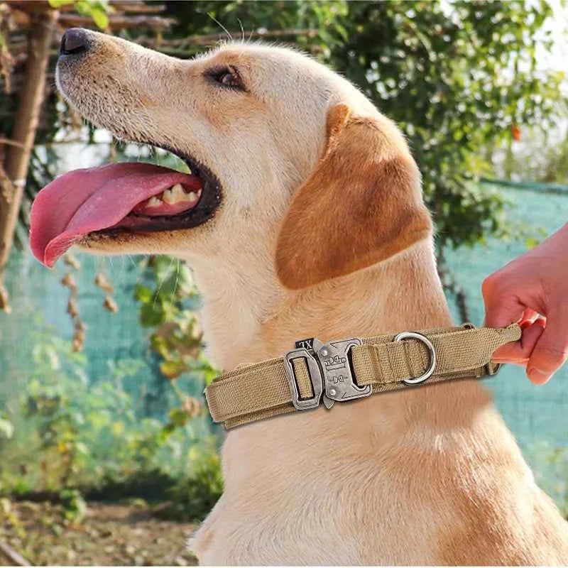 Durable Nylon Dog Collar with Reflective Leash Set