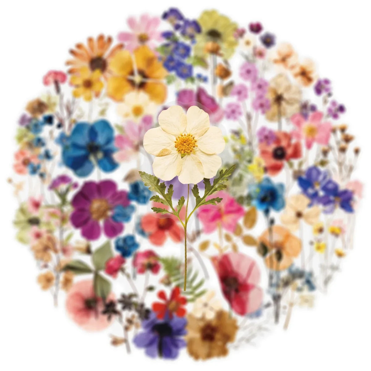 50/200PCS Transparent PET Flower Plant Material Stickers Handbooks Tablets Phone Water Cups Decor Stationary Notebook Stickers