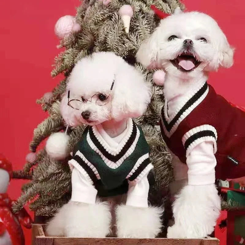 Small Dog Winter Sweater - V-Neck College Style Knitwear