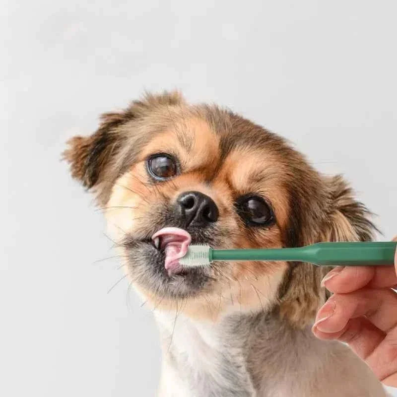 Complete Pet Toothbrush And Toothpaste Kit
